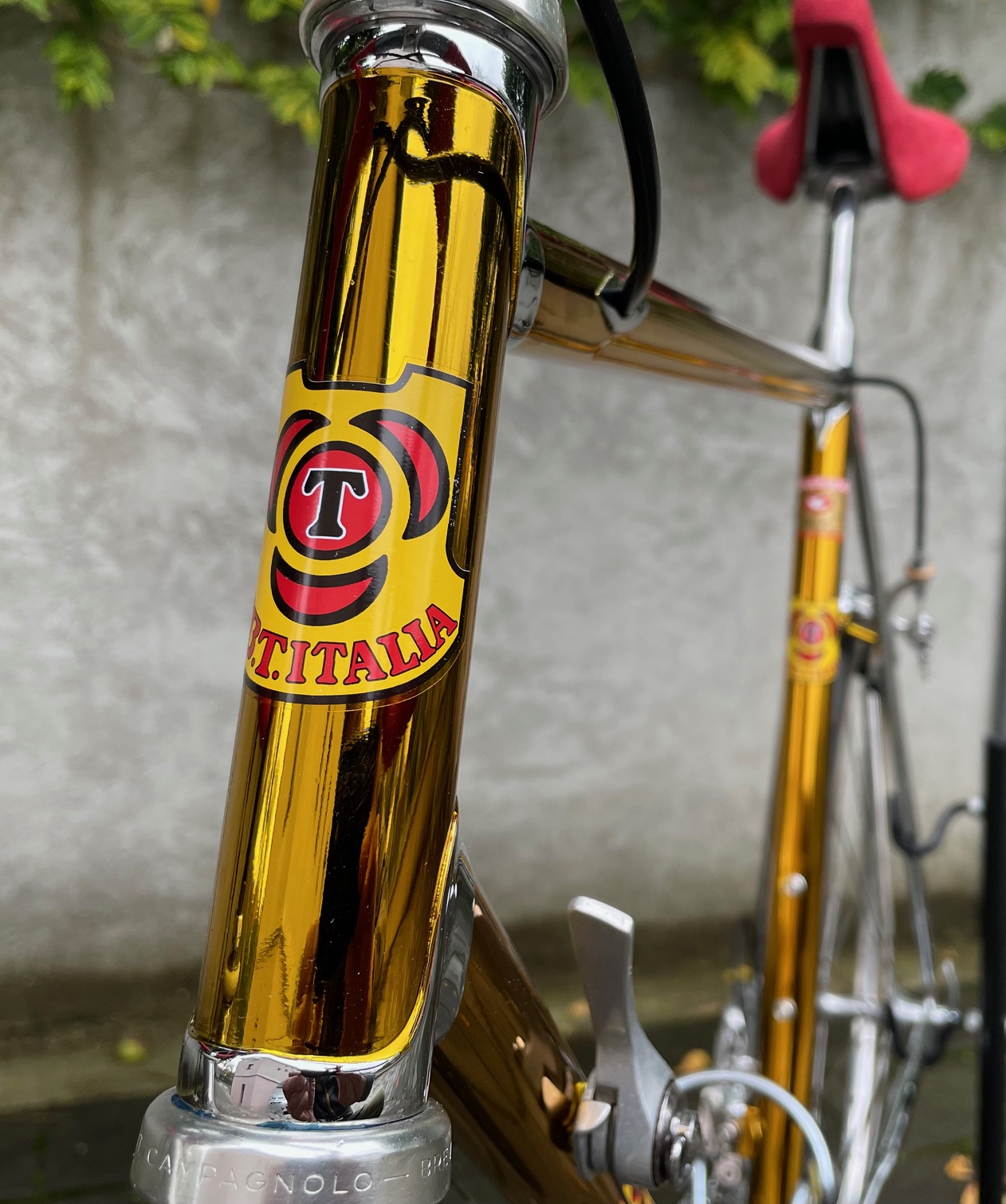 CBT -Italia - KRYPTON - Columbus SLX - Campagnolo C-Record